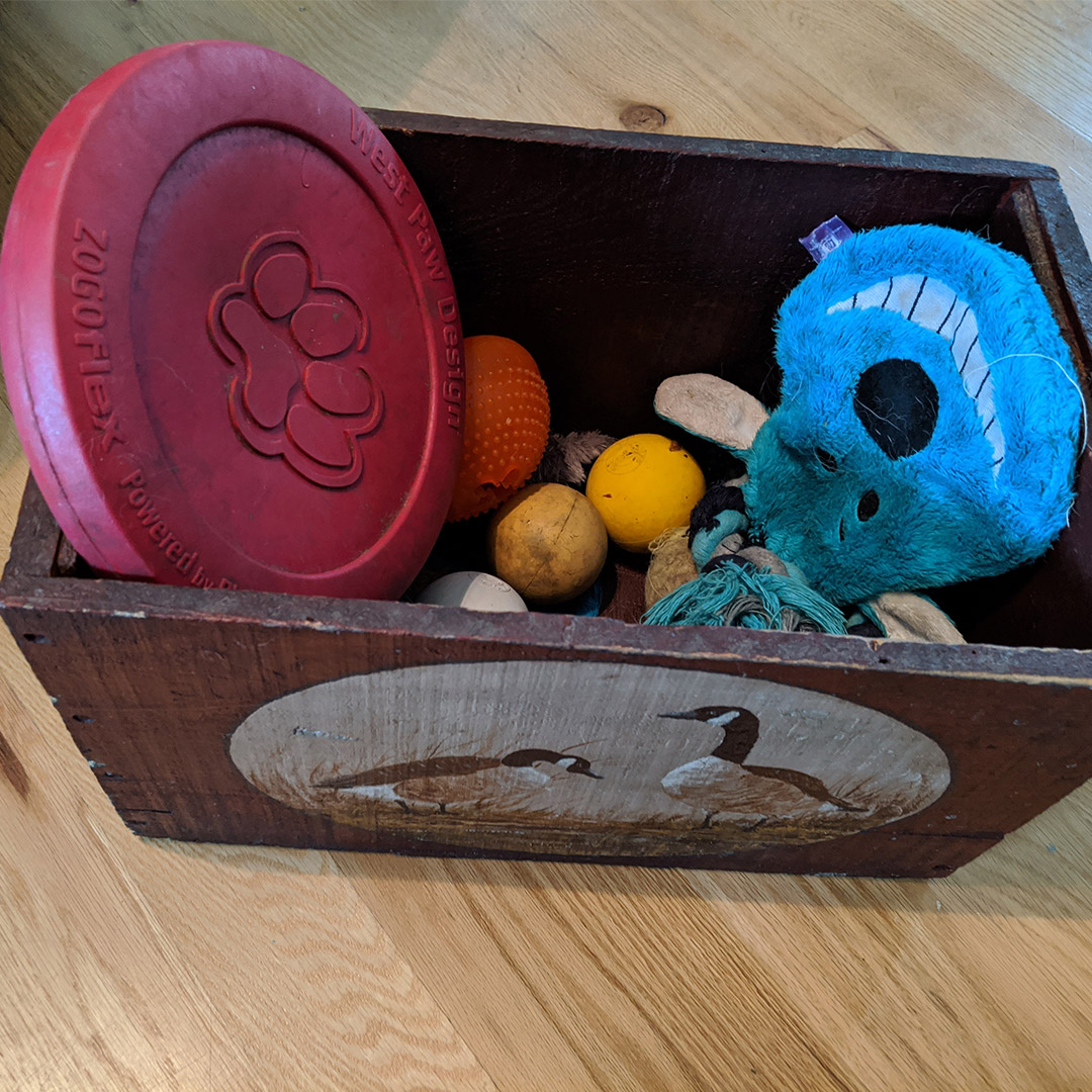 Toy Box