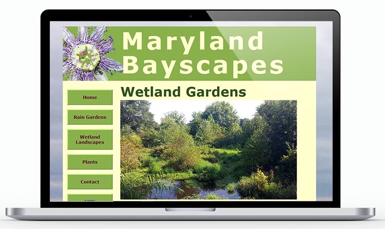 maryland bayscapes on laptop with wetland garden