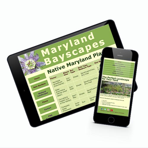 maryland bayscapes on ipad and phone