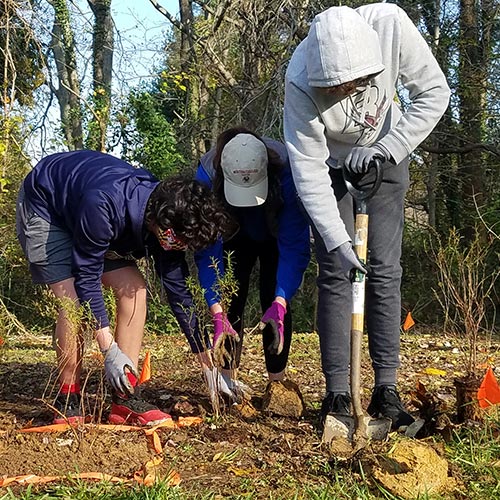 3 people planting trees together